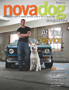 nova-dog